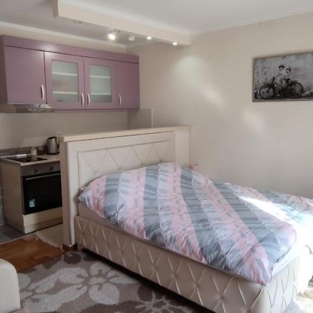 Alex 2 Apartman Vrnjačka Banja Εξωτερικό φωτογραφία