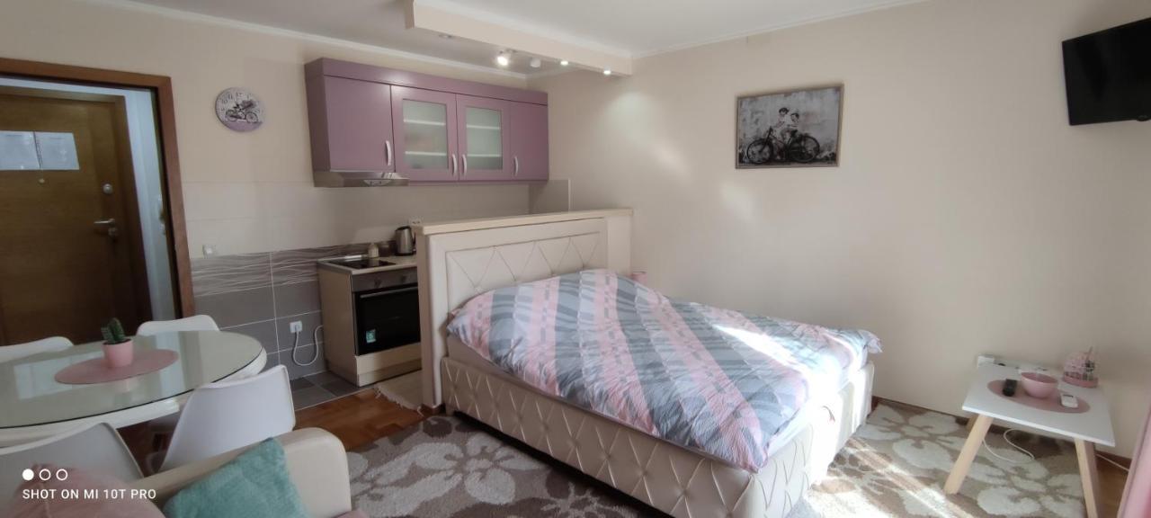 Alex 2 Apartman Vrnjačka Banja Εξωτερικό φωτογραφία